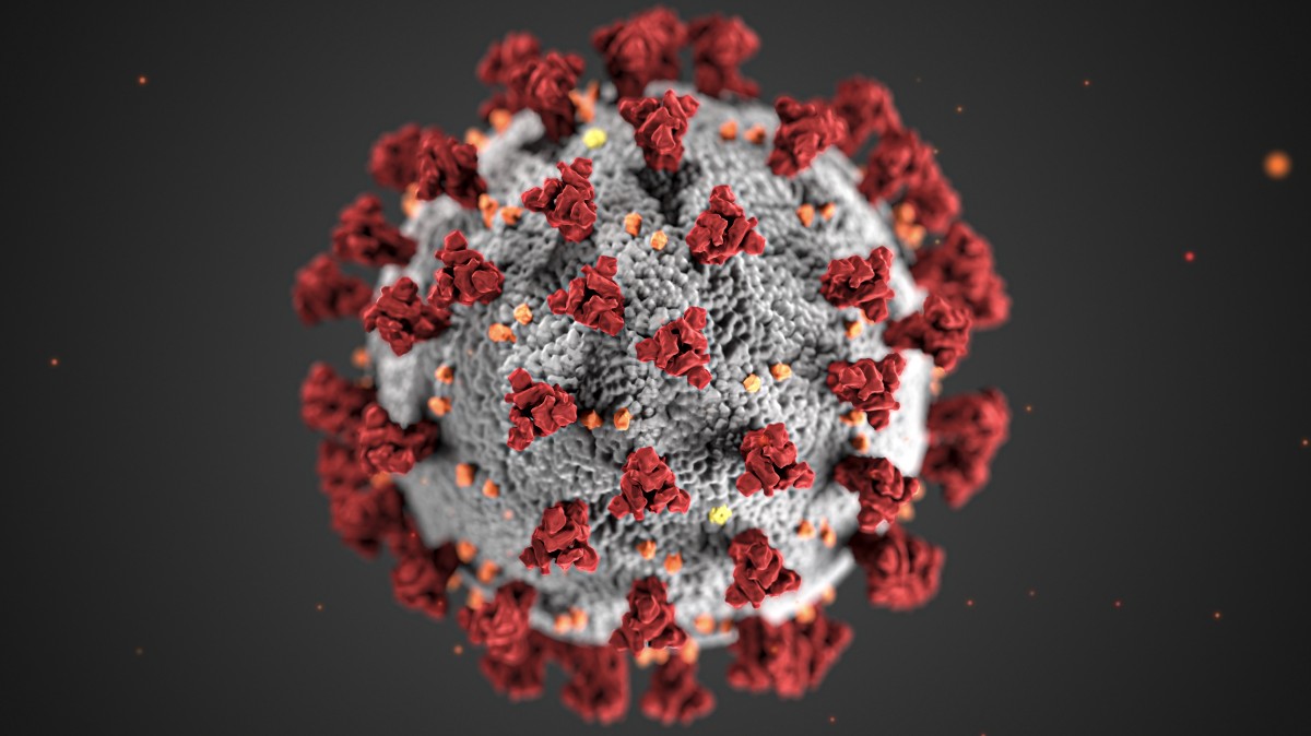La molecola del coronavirus