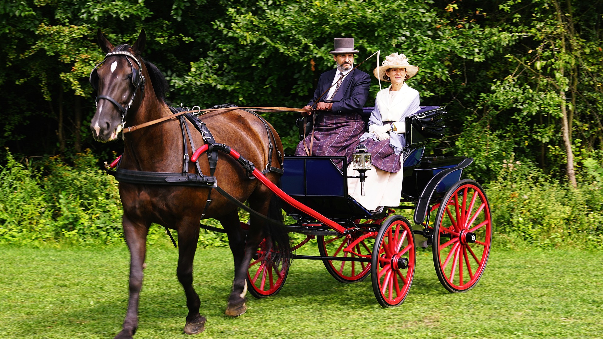Un uomo e una donna su una carrozza trainata da un cavallo