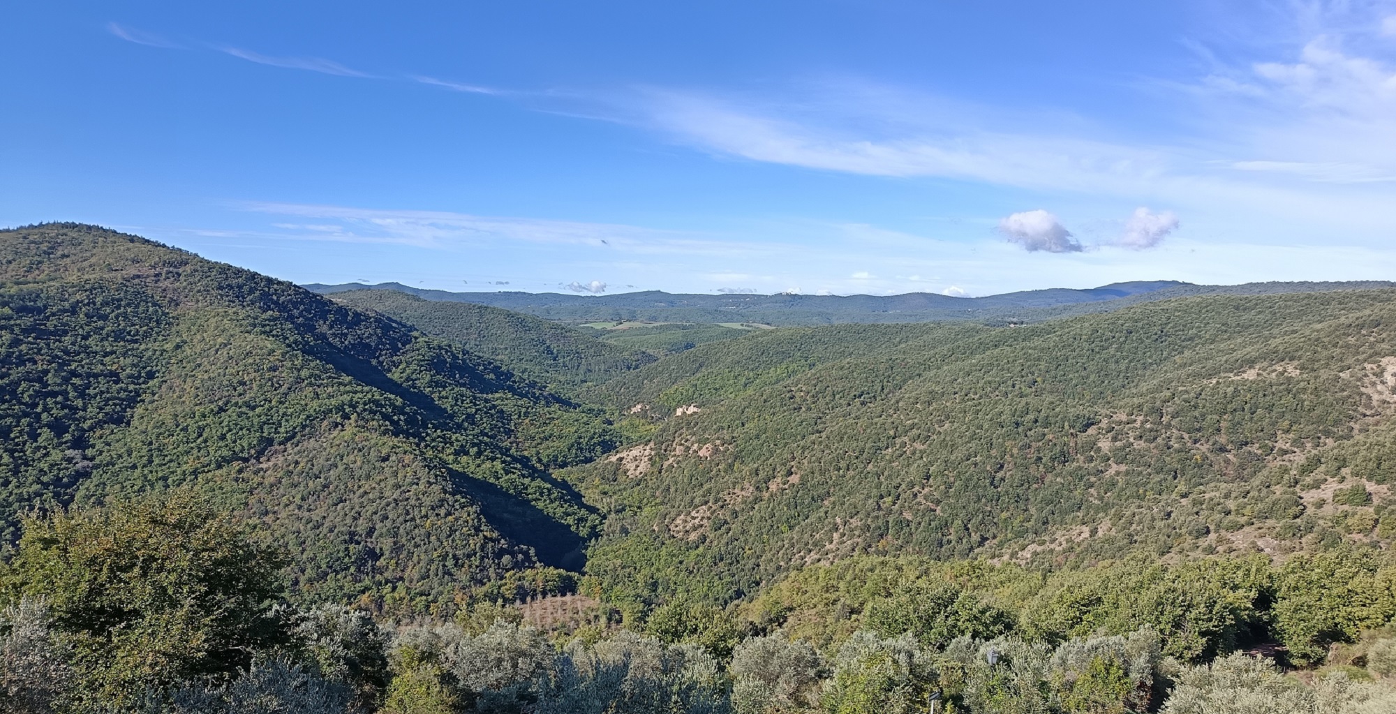 Il Bosco delle Sette Valli, nel comune di Marsciano, in provincia di Perugia